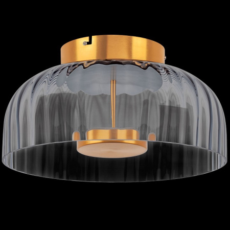 Фото Накладной светильник Lightstar Celesta 809061