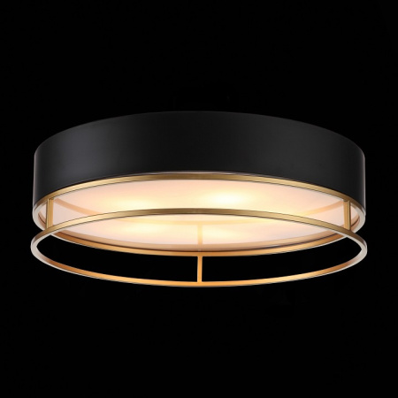 Фото Накладной светильник ST-Luce Chodo SL1127.432.05