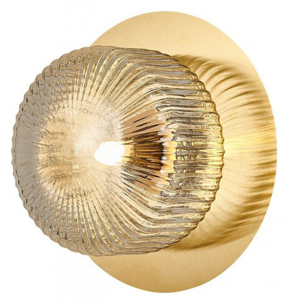 Фото Накладной светильник Favourite Malinconia 4051-1W