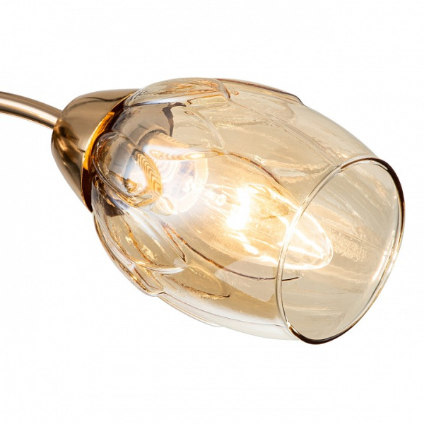 Фото Потолочная люстра Escada Allium 663/3P