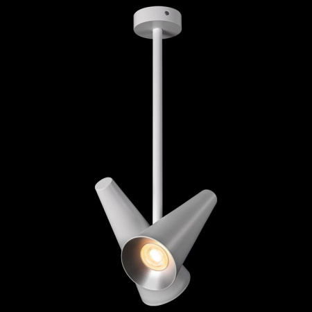 Фото Светильник на штанге Maytoni Giro MOD095CL-02W