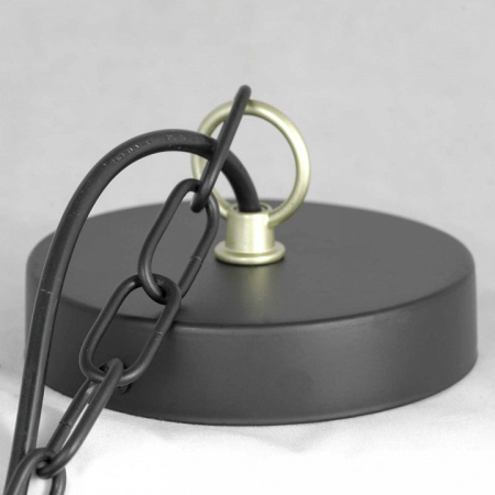 Фото Подвесная люстра Lussole Roosevelt LSP-8198