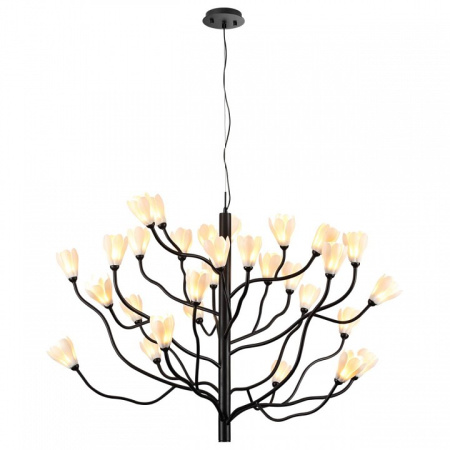 Фото Подвесная люстра Odeon Light Gardi 5090/30