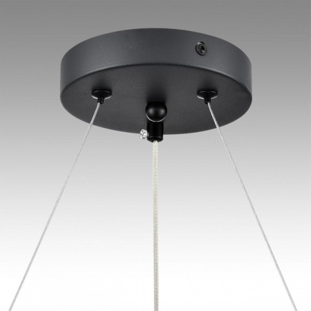 Фото Подвесная люстра Lumion Luazana 8242/6