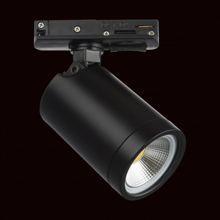 Фото Светильник на штанге Lightstar Rullo 212937