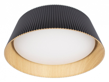 Открыть Накладной светильник Loft it Evans 10224 Black Фото Накладной светильник Loft it Evans 10224 Black