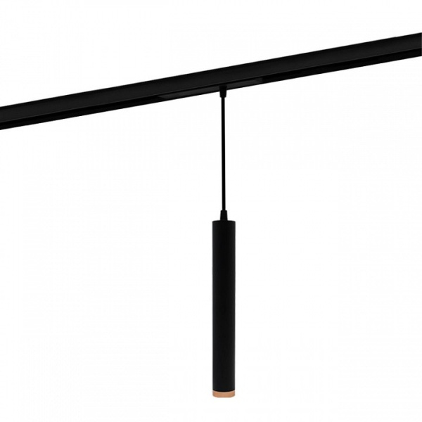 Фото Подвесной светильник Aployt Magnetic track 220 APL.0207.00.10