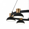 Открыть Подвесная люстра Indigo Traforo 11059/6P Black Фото Подвесная люстра Indigo Traforo 11059/6P Black