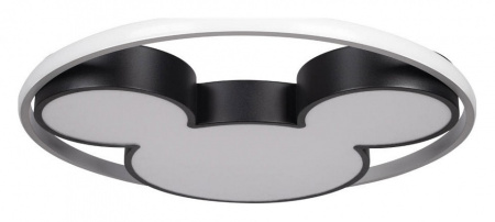 Фото Накладной светильник Loft it Mike 10166