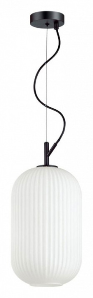 Фото Подвесной светильник Odeon Light Roofi 4751/1