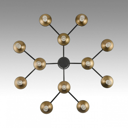 Фото Люстра на штанге Lumion Tamaresa 8112/24