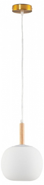 Фото Подвесной светильник Moderli Cute V10290-PL