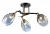 Люстра на штанге Ambrella Light TR TR303038 Люстра на штанге Ambrella Light TR TR303038