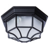 Накладной светильник Arte Lamp Pegasus A3100PL-1BK Накладной светильник Arte Lamp Pegasus A3100PL-1BK