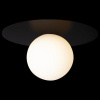 Открыть Накладной светильник Loft it Ufo 10120/250C Black Фото Накладной светильник Loft it Ufo 10120/250C Black