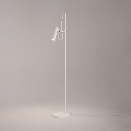 Фото Торшер Maytoni Bansky MOD129FL-01W