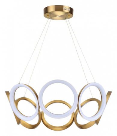 Фото Подвесная люстра Lumion Ledio 5672/65L