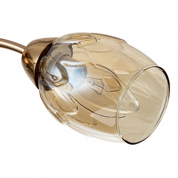 Фото Потолочная люстра Escada Allium 663/3P