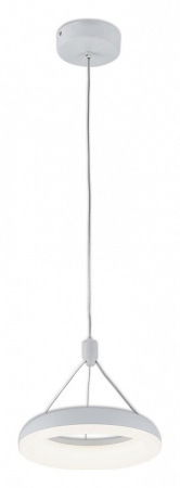 Фото Подвесной светильник Citilux Паркер CL225B110