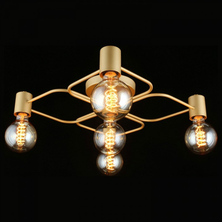 Фото Потолочная люстра Aployt Elison APL.911.07.05