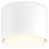 Открыть Накладной светильник Ambrella Light TN TN5301 Фото Накладной светильник Ambrella Light TN TN5301