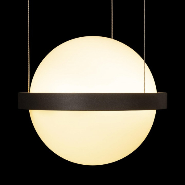 Открыть Подвесной светильник Loft it Jardin 10121/2P Dark grey Фото Подвесной светильник Loft it Jardin 10121/2P Dark grey