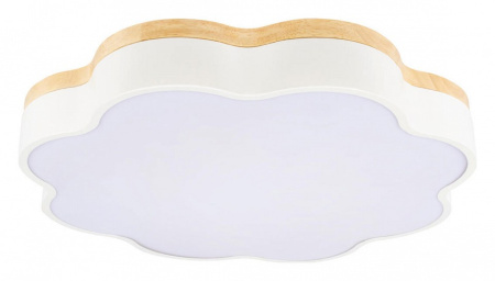 Фото Накладной светильник Loft it Axel 10225/36 White