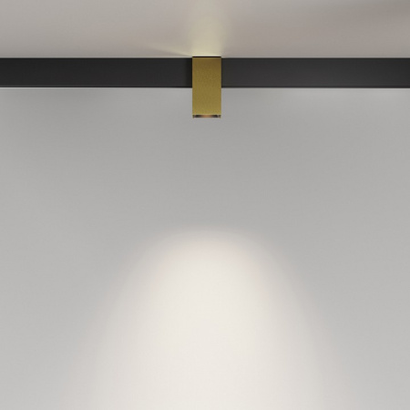 Фото Накладной светильник Maytoni Alfa TR121-2-7W4K-BS