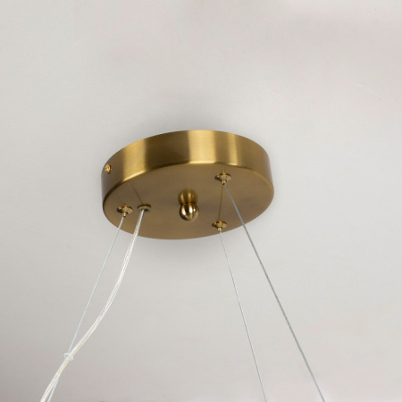 Фото Подвесная люстра Favourite Gelido 4518-6P