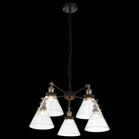 Фото Подвесная люстра ST-Luce Evoluto SL237.413.05