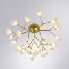 Открыть Потолочная люстра Arte Lamp Candy A7274PL-27GO Фото Потолочная люстра Arte Lamp Candy A7274PL-27GO