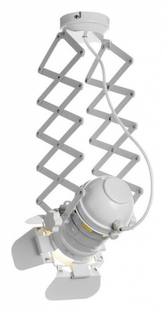 Фото Светильник на штанге Loft it Cinema LOFT3096-S