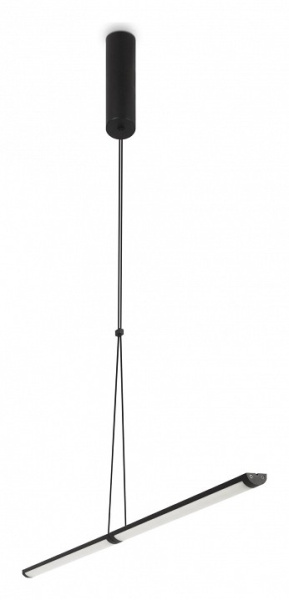 Фото Подвесной светильник Maytoni Supersymmetry P096PL-L11BK