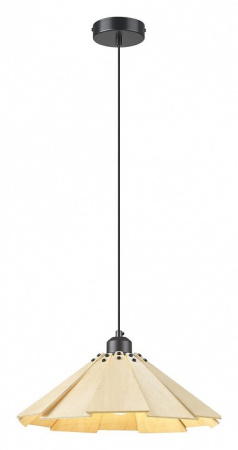 Фото Подвесной светильник Velante 530 530-716-01