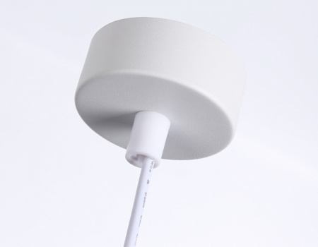 Открыть Подвесной светильник Ambrella Light TN TN51693 Фото Подвесной светильник Ambrella Light TN TN51693