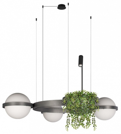 Открыть Подвесная люстра Loft it Jardin 10121/3 Dark grey Фото Подвесная люстра Loft it Jardin 10121/3 Dark grey