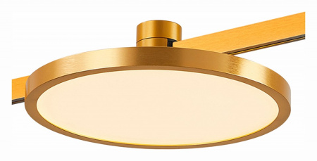 Фото Накладной светильник ST-Luce Farm ST818.206.12