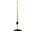 Открыть Светильник на растяжке Loft it Slim 3604-BL Фото Светильник на растяжке Loft it Slim 3604-BL