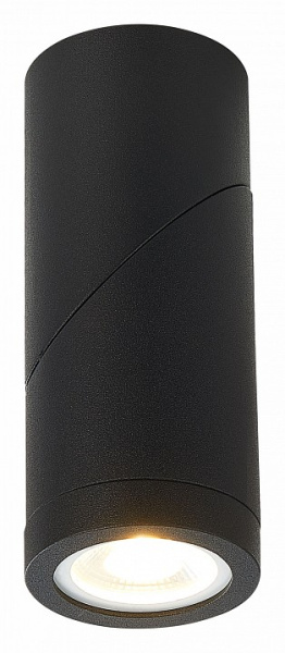 Фото Светильник на штанге ST-Luce ST650 ST650.402.01