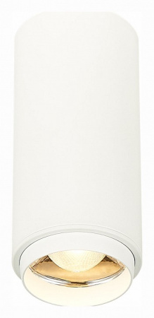 Фото Накладной светильник ST-Luce Zoom ST600.532.10