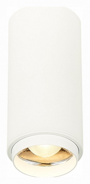 Фото Накладной светильник ST-Luce Zoom ST600.532.10