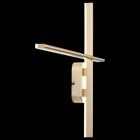 Фото Накладной светильник ST-Luce Basoni SL394.201.02