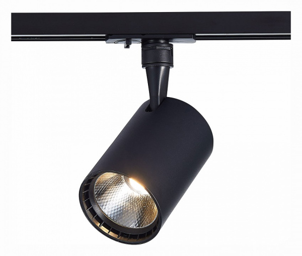 Фото Светильник на штанге ST-Luce Cami ST351.446.30.36