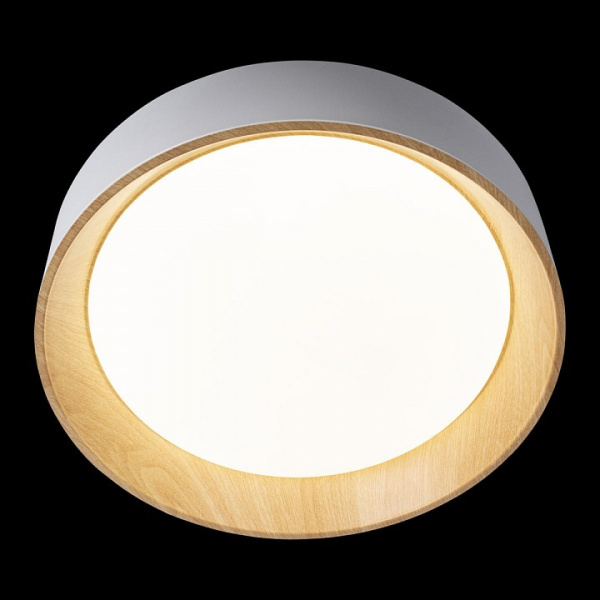 Фото Накладной светильник Loft it Coin 10202 White