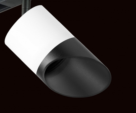 Фото Светильник на штанге Lightstar Rullo PRO348687