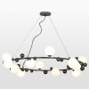 Фото Подвесная люстра Lussole Coosa LSP-8654