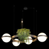 Открыть Подвесная люстра Loft it Jardin 10121/4 Dark grey Фото Подвесная люстра Loft it Jardin 10121/4 Dark grey