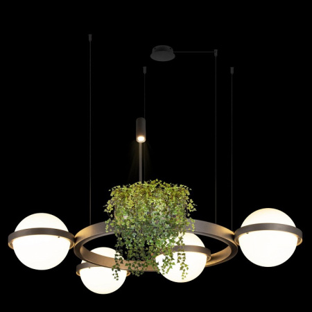 Открыть Подвесная люстра Loft it Jardin 10121/4 Dark grey Фото Подвесная люстра Loft it Jardin 10121/4 Dark grey