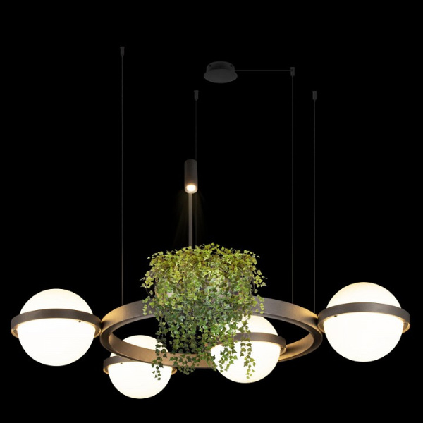 Фото Подвесная люстра Loft it Jardin 10121/4 Dark grey