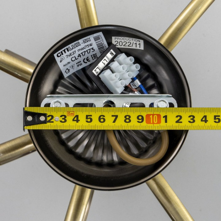 Фото Люстра на штанге Citilux Франческа CL417173